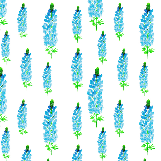 A note from Kitty <3