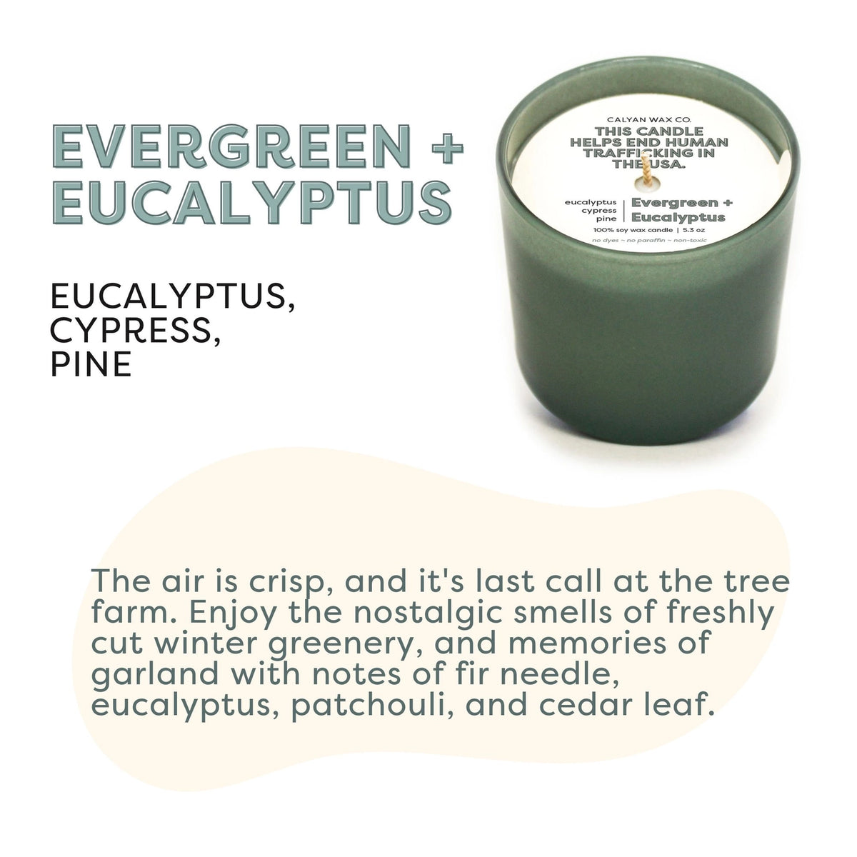 100% soy wax candle, Evergreen + Eucalyptus, 5.3 oz, Non-toxic dye & paraben free