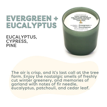 100% soy wax candle, Evergreen + Eucalyptus, 5.3 oz, Non-toxic dye & paraben free