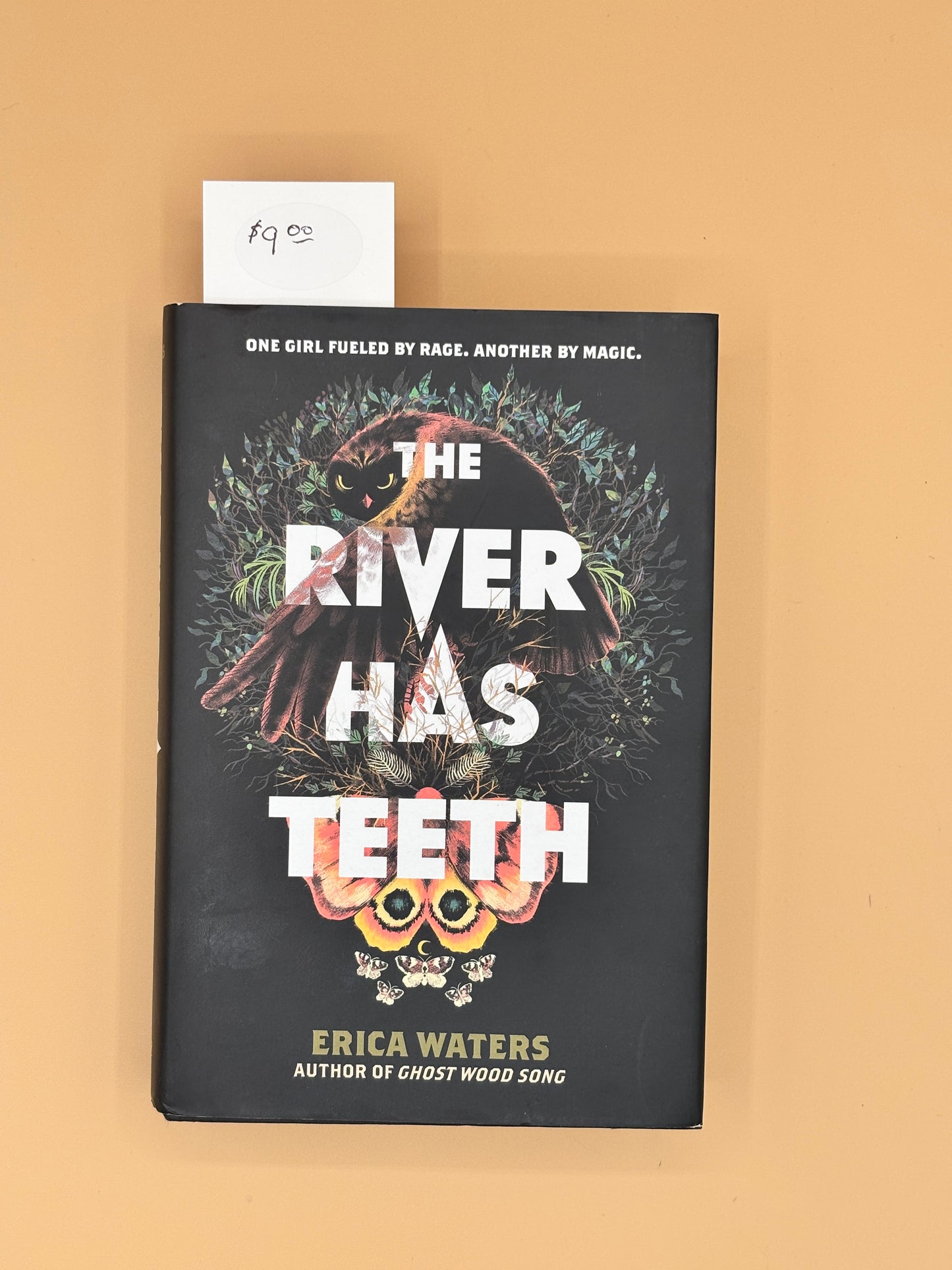 The River Has Teeth - Erica Waters | Pre-Owned Hardcover - Very Good Condition